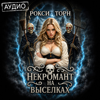 Обложка книги «Некромант на выселках»