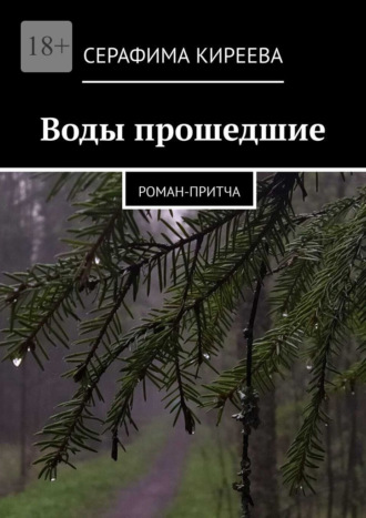 Обложка книги «Воды прошедшие. Роман-притча»