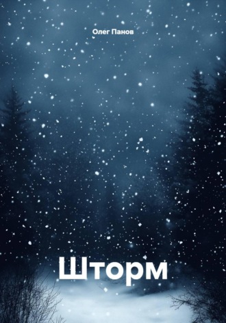 Обложка книги «Шторм»