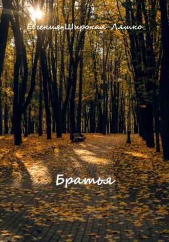 Обложка книги «Братья»