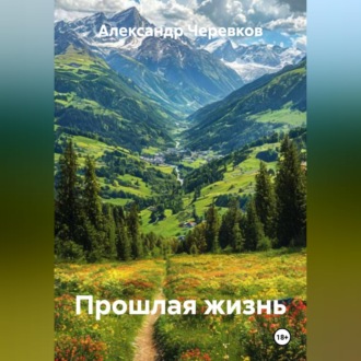Обложка книги «Прошлая жизнь»