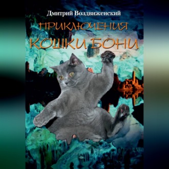 Обложка книги «ПРИКЛЮЧЕНИЯ КОШКИ БОНИ»