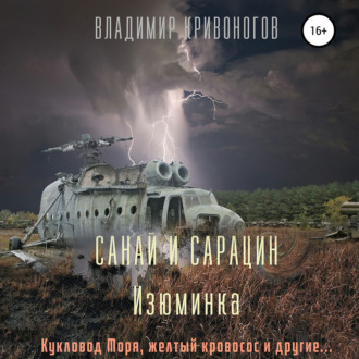 Обложка книги «Санай и Сарацин. Изюминка»