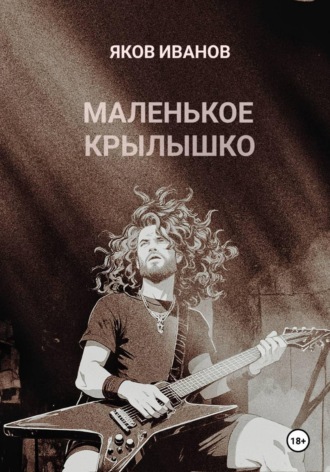 Обложка книги «Маленькое крылышко»