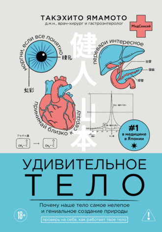 Обложка книги «Удивительное тело. Почему наше тело самое нелепое и гениальное создание природы»