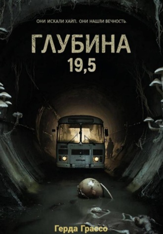Обложка книги «Глубина 19,5»