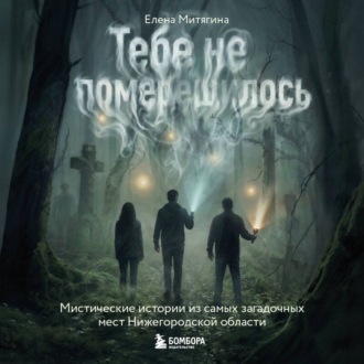 Обложка книги «Тебе не померещилось. Мистические истории из самых загадочных мест Нижегородской области»