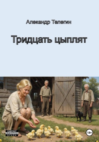 Обложка книги «Тридцать цыплят»