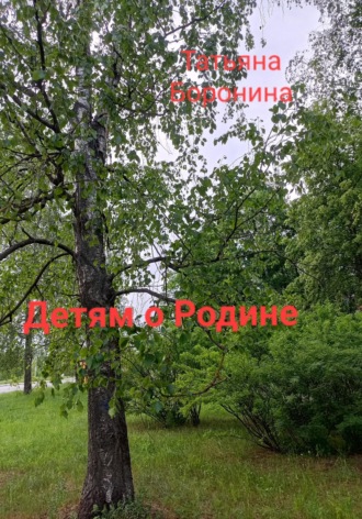 Обложка книги «Детям о России»