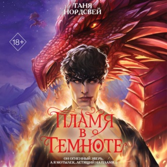 Обложка книги «Пламя в темноте»