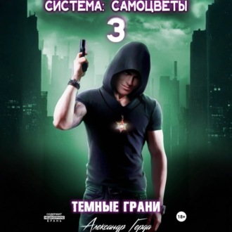 Обложка книги «Система-Самоцветы 3: Темные Грани»