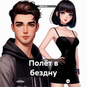 Обложка книги «Полёт в бездну»