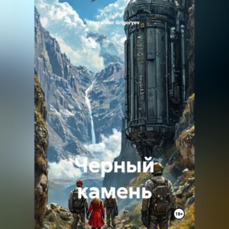 Обложка книги «Черный камень»