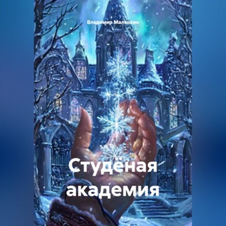 Обложка книги «Студёная академия»