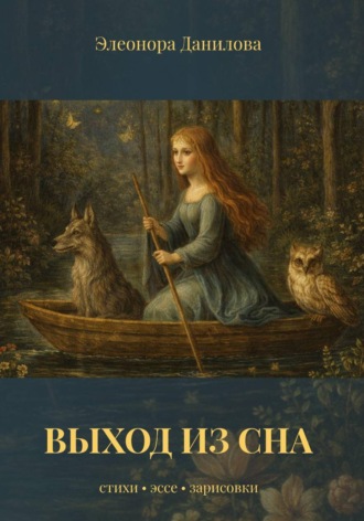 Обложка книги «Выход из сна»