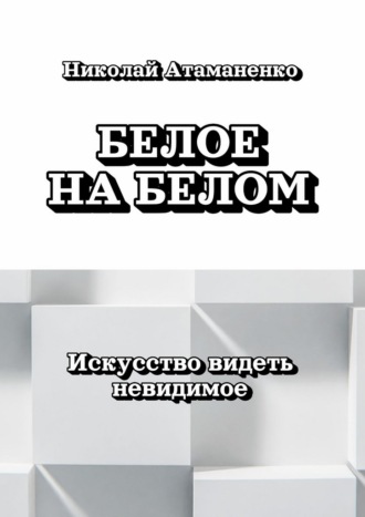 Обложка книги «Белое на белом. Искусство видеть невидимое»