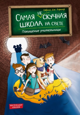 Обложка книги «Похищение учительницы»