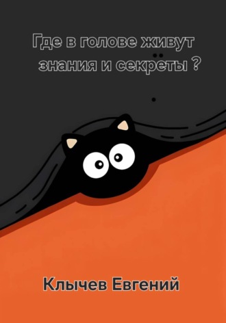 Обложка книги «Где в голове живут знания и секреты?»
