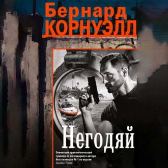 Обложка книги «Негодяй»