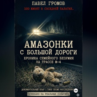 Обложка книги ««Амазонки» с большой дороги: Хроника семейного безумия на трассе М-4»