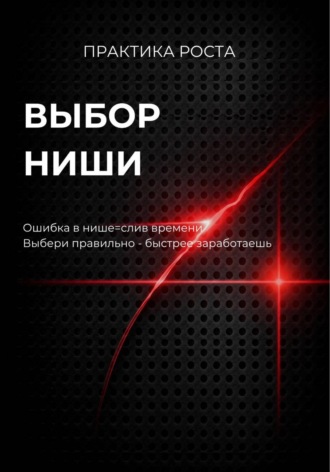 Обложка книги «Выбор ниши»