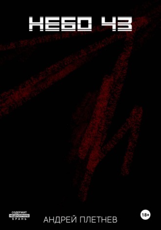 Обложка книги «Небо 43»