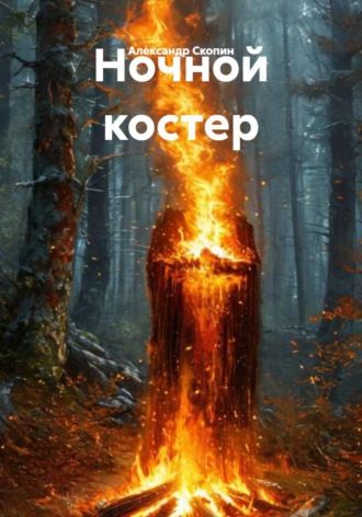 Обложка книги «Ночной костер»