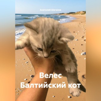 Обложка книги «Велес Балтийский кот»
