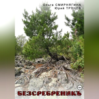 Обложка книги «БеЗсеребреникЪ»