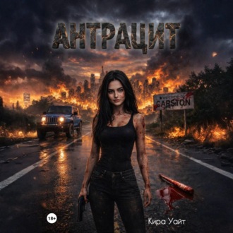 Обложка книги «Антрацит»
