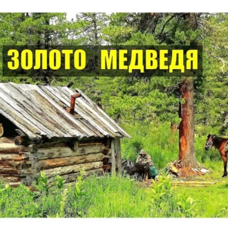 Обложка книги «Золото медведя ТАЙГА»