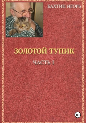 Обложка книги «Золотой тупик»