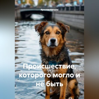Обложка книги «Происшествие, которого могло и не быть»