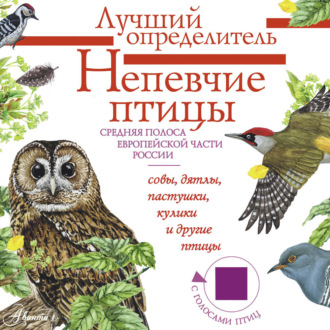Непевчие птицы. Средняя полоса европейской части России. Определитель с голосами птиц