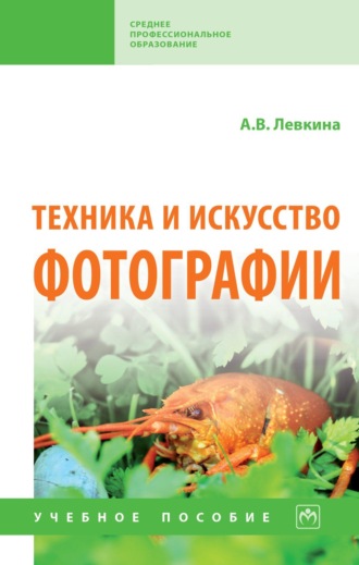 Анна Вячеславовна Левкина. Техника и искусство фотографии