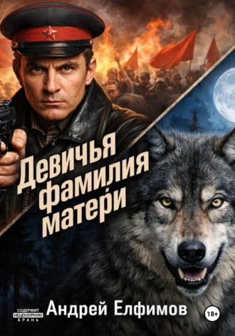 Обложка книги «Девичья фамилия матери»