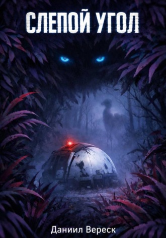 Обложка книги «Слепой угол»