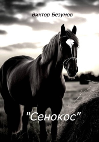 Обложка книги «Сенокос»