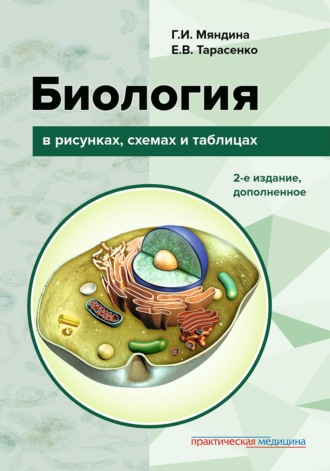 Обложка книги «Биология в рисунках, схемах и таблицах»