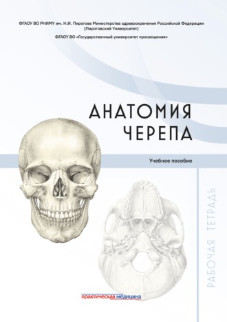 Обложка книги «Анатомия черепа. Рабочая тетрадь»