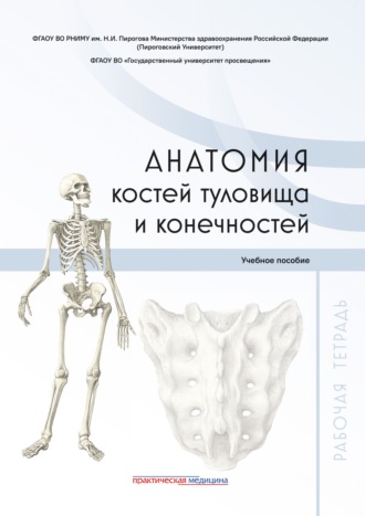 Обложка книги «Анатомия костей туловища и конечностей. Рабочая тетрадь»