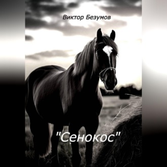 Обложка книги «Сенокос»