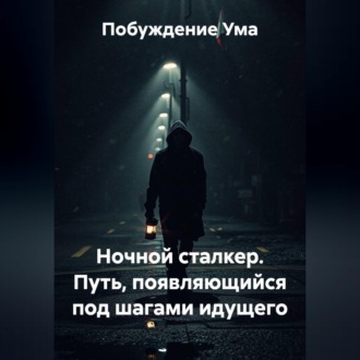 Обложка книги «Ночной сталкер. Путь, появляющийся под шагами идущего»