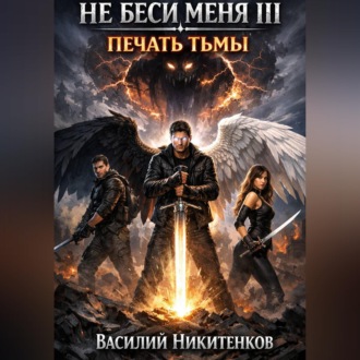 Обложка книги «Не беси меня 3»