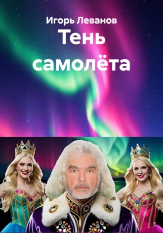 Обложка книги «Тень самолёта»
