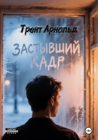 Обложка книги «Застывший кадр»