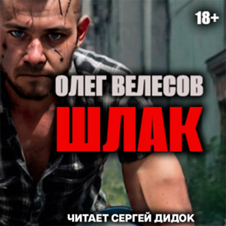 Обложка книги «ШЛАК. Книга первая»