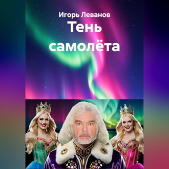 Обложка книги «Тень самолёта»