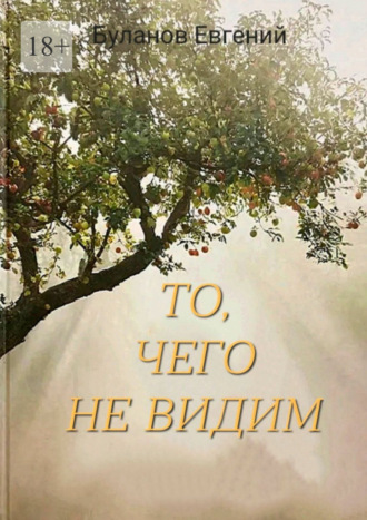 Обложка книги «То, чего не видим»