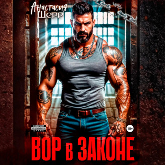 Обложка книги «Вор в законе»